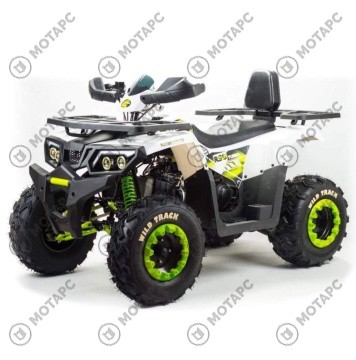 Квадроцикл MOTOLAND Wild Track LUX 200