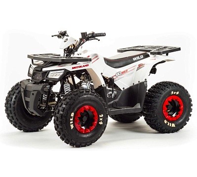 Квадроцикл MOTOLAND Wild 125