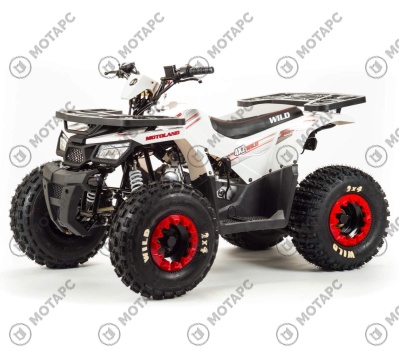 Квадроцикл MOTOLAND Wild 125