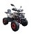 Квадроцикл WELS Thunder AX 125 PRO
