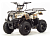 Квадроцикл MOTOLAND Rider 110