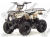 Квадроцикл MOTOLAND Rider 110