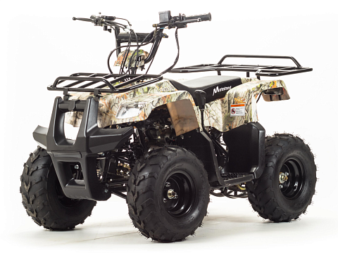 Квадроцикл MOTOLAND Rider 110