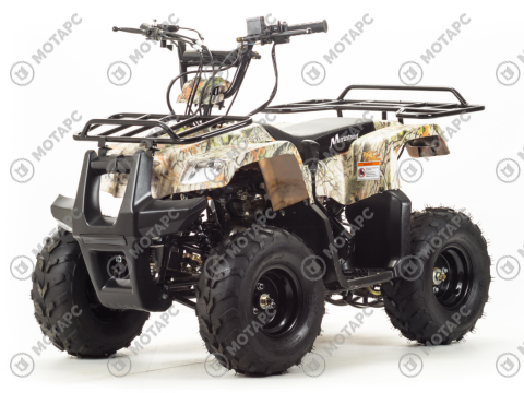 Квадроцикл MOTOLAND Rider 110