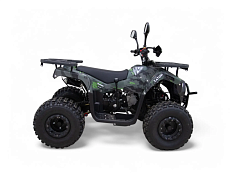Квадроцикл MOTAX Grizlik Premium 125