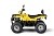 Квадроцикл IRBIS ATV 250 Квадроцикл IRBIS ATV 250