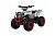 Квадроцикл WELS Thunder EVO 110 M