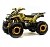 Квадроцикл MOTOLAND Wild X 125