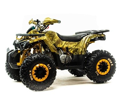 Квадроцикл MOTOLAND Wild X 125