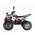 Квадроцикл WELS Thunder EVO 125X ST