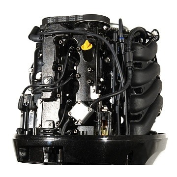Мотор лодочный PARSUN F100FEL-T-EFI