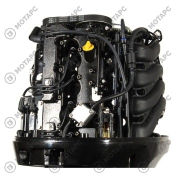 Мотор лодочный PARSUN F100FEL-T-EFI