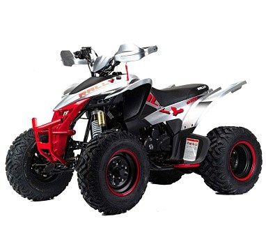 Квадроцикл MOTOLAND Rally 250