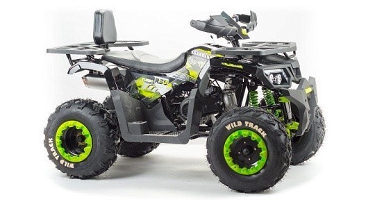 Квадроцикл MOTOLAND Wild Track LUX 200
