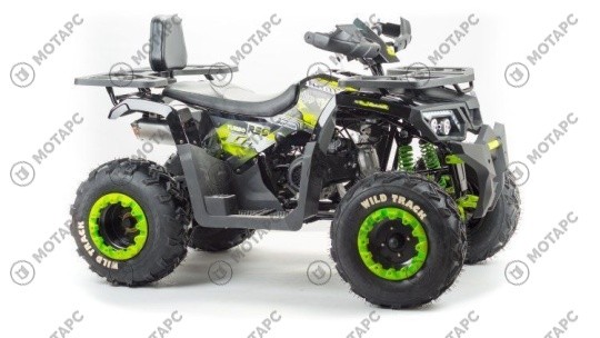 Квадроцикл MOTOLAND Wild Track LUX 200