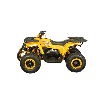 Квадроцикл AVANTIS Hunter 200 Big Basic