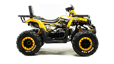 Квадроцикл MOTOLAND Wild Track LUX 200