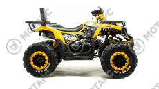 Квадроцикл MOTOLAND Wild Track LUX 200