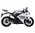 Мотоцикл MOTOLAND R1 300 ПТС