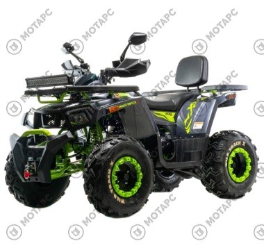 Квадроцикл MOTOLAND Wild Track X WINCH 200
