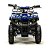 Квадроцикл (игрушка) MOTOLAND E009 1000Вт