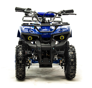 Квадроцикл (игрушка) MOTOLAND E009 1000Вт