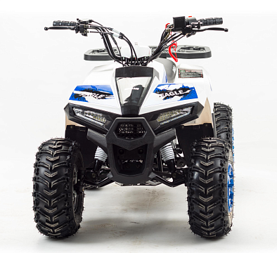 Квадроцикл MOTOLAND Eagle 110