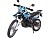 Мотоцикл RACER Panther RC300-GY8X