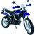 Мотоцикл RACER Panther RC250GY-C2A