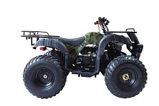 Квадроцикл WELS Thunder 150