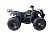 Квадроцикл WELS Thunder 150