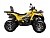 Квадроцикл AVANTIS H250 BIG NEW Premium