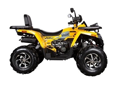Квадроцикл AVANTIS H250 BIG NEW Premium