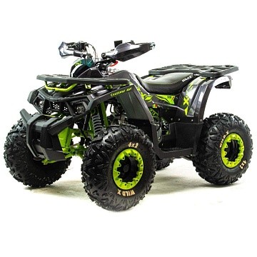 Квадроцикл MOTOLAND Wild X A 125