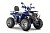 Квадроцикл WELS Thunder Trail 200 PRO Квадроцикл WELS Thunder Trail 200 PRO