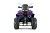 Квадроцикл WELS Thunder Trail 200 PRO Квадроцикл WELS Thunder Trail 200 PRO