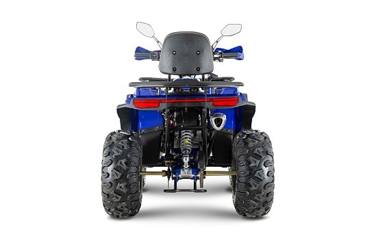 Квадроцикл WELS Thunder Trail 200 PRO