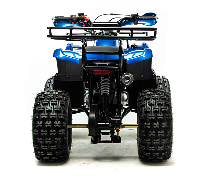 Квадроцикл MOTOLAND Fox 125