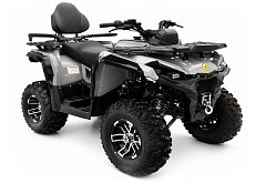 Квадроцикл MM Hammer 6  250 L