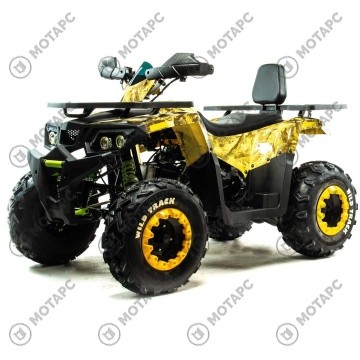 Квадроцикл MOTOLAND Wild Track LUX 200