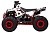 Квадроцикл WELS Thunder EVO 110 M