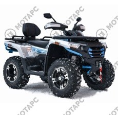 Квадроцикл MOTOLAND Max X 300 с ПТС