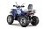Квадроцикл WELS Thunder Trail 200 PRO Квадроцикл WELS Thunder Trail 200 PRO