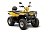 Квадроцикл IRBIS ATV 250 Квадроцикл IRBIS ATV 250