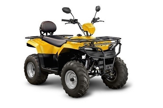 Квадроцикл IRBIS ATV 250