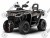 Квадроцикл SEGWAY SGW570F-A5 SNARLER AT6 LE