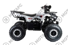 Квадроцикл MOTOLAND Storm A 125