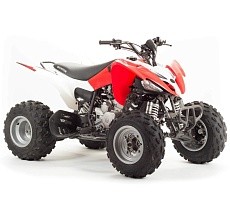 Квадроцикл MOTOLAND 250S