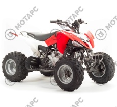 Квадроцикл MOTOLAND 250S