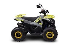 Квадроцикл AVANTIS Ray 8 Lux